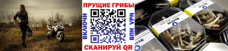 Галлюциногенные грибы мицелий  Купить закладки  Нелидово 